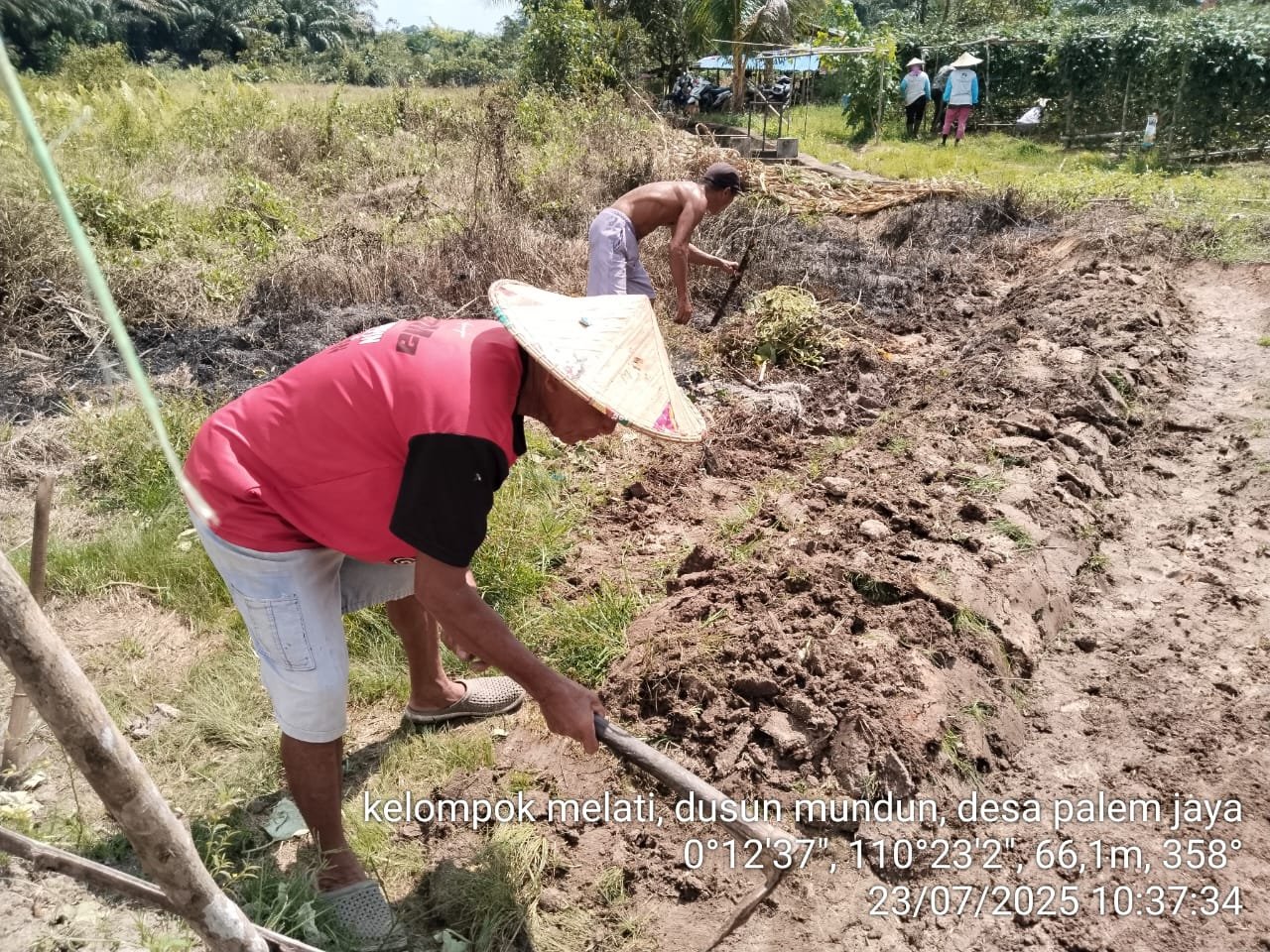 Kelompok Melati Dusun Mundun Perluas Areal Kebun, Omzet Capai Puluhan Juta Rupiah